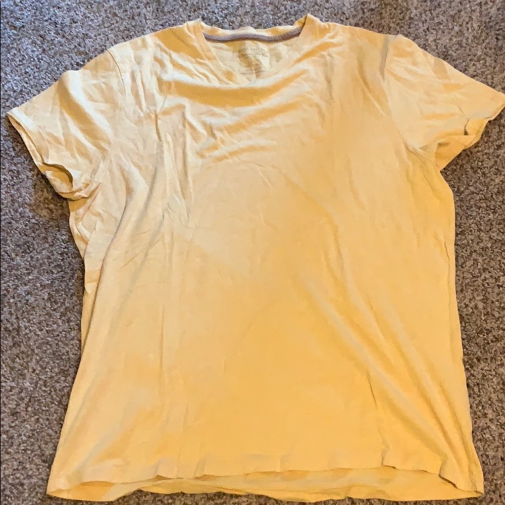 Banana republic v neck fitted tee
